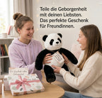Der Gewichtete Kuschel-Panda – Die Umarmung, die bleibt